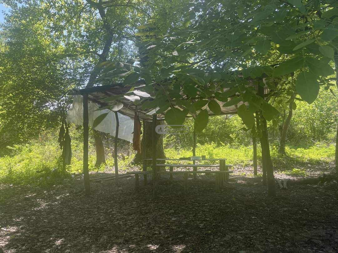 საგუბრები სოფელ წინანდალში