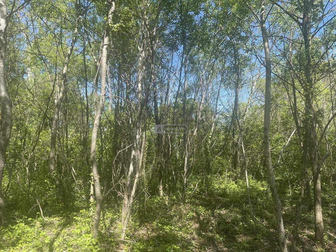 საგუბრები სოფელ წინანდალში