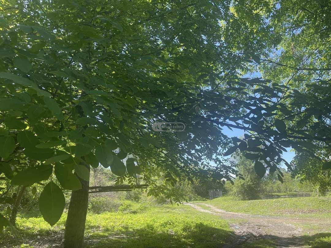 საგუბრები სოფელ წინანდალში