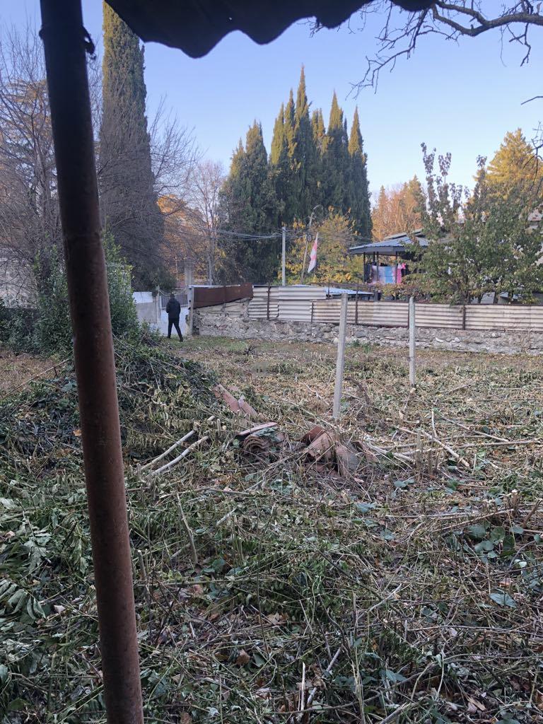 Land Plot in Tsinandali