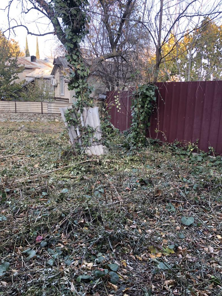 Land Plot in Tsinandali