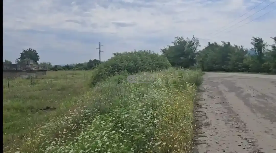 Land plot in Gurjaani