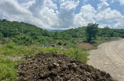 მიწის ნაკვეთი ვარდისუბანში