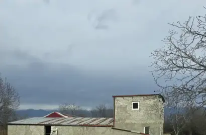 Ферма в Руиспири