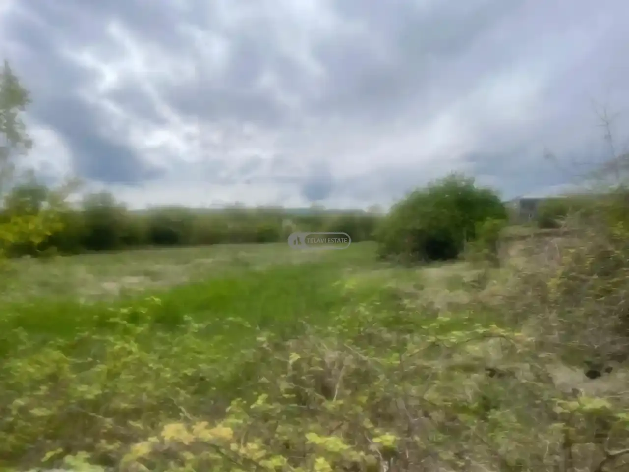 მიწის ნაკვეთი შალაურში