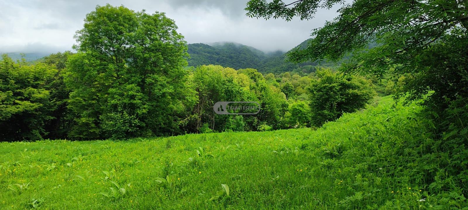 Земельный участок на продажу в селе Гомбори