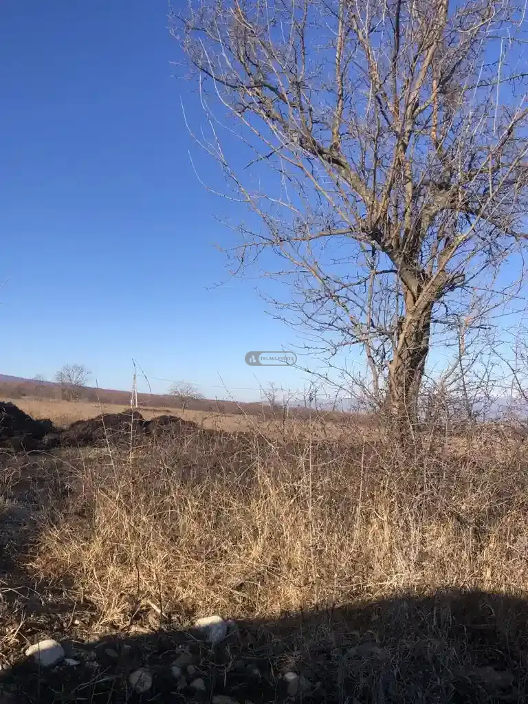 მიწის ნაკვეთი კისისხევში