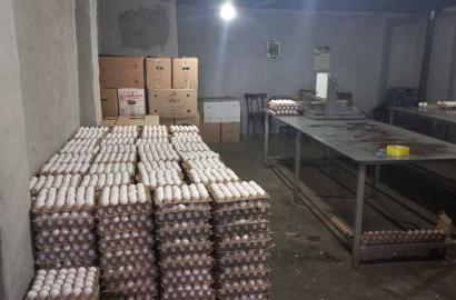 ქათმის ფერმა სრული ინფრასტრუქტურით