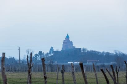 მიწის ნაკვეთი სოფელ გრემში