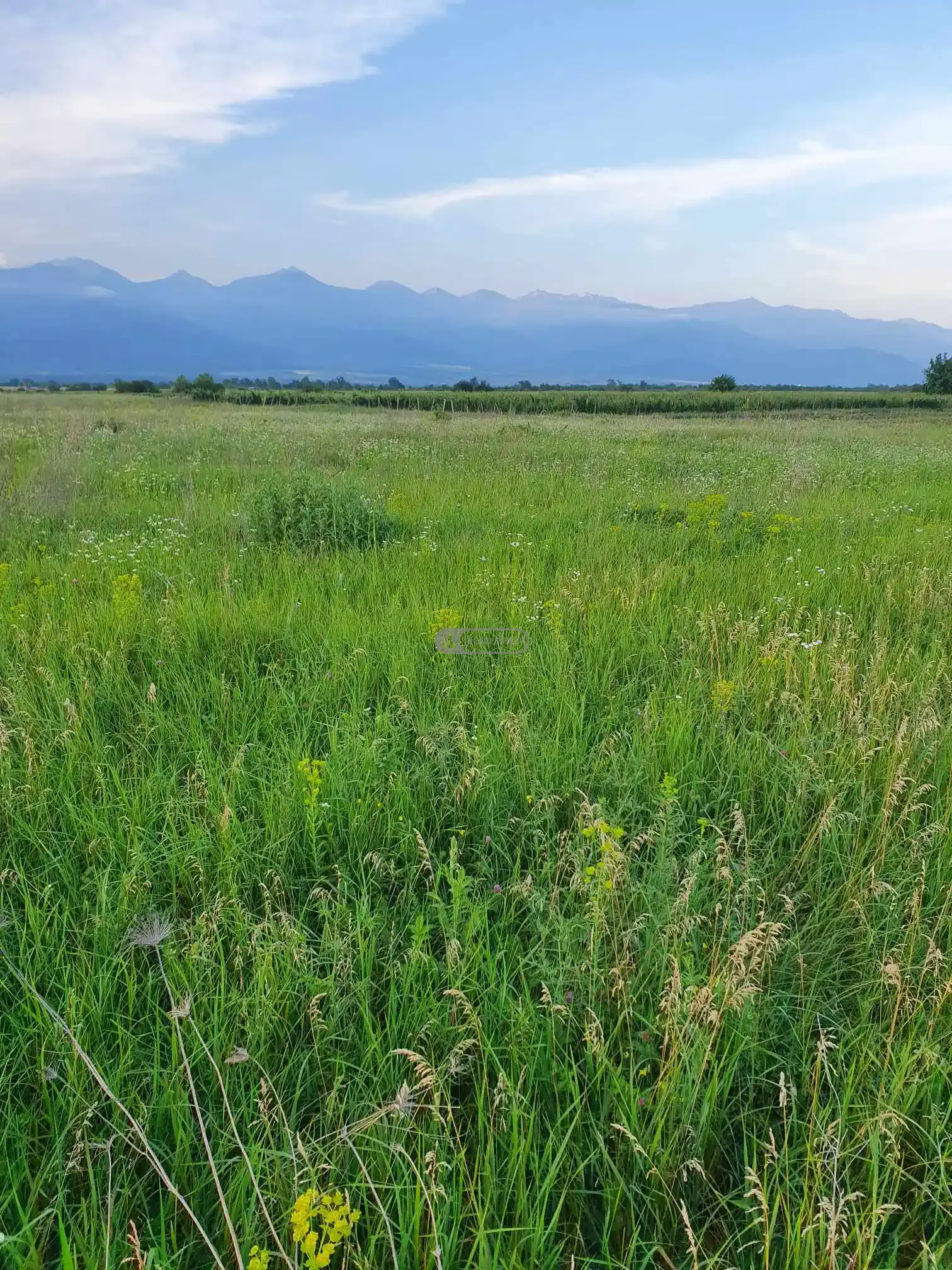 Земельный участок в Кисисхеви