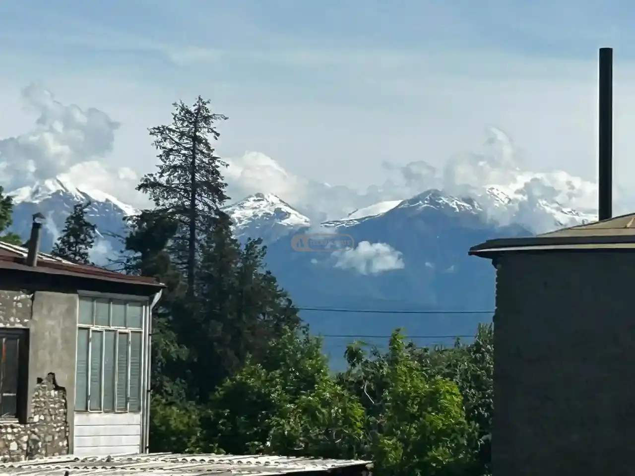 მიწის ნაკვეთი ვენახით წინანდალში